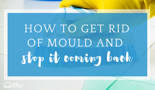 True Property - how to get rid of mould and stop it coming back